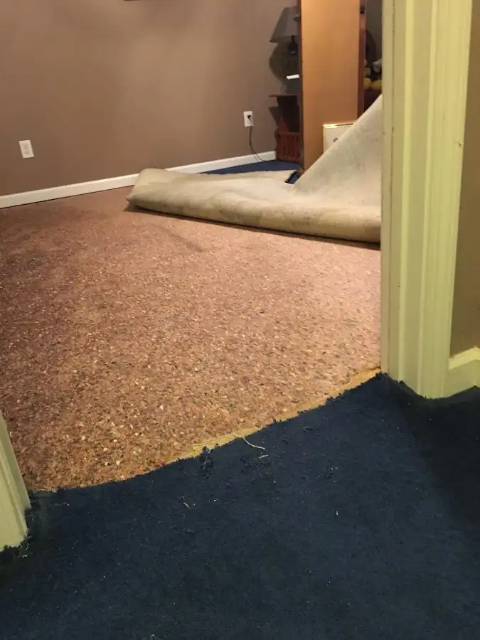 Carpet pad removal revealing water damage during Drying & Dehumidification in Brockport